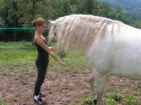 fabuloso and me ...